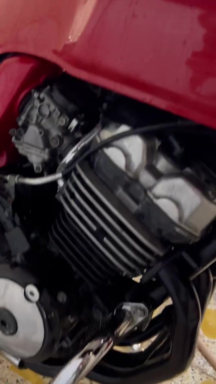 السلام عليكم
Honda super four cb400 (S)رقم ميسان انكليزي تحويل مباشر  
جيل اول 16 ولف اول ثاني ثالث بطناش دراجه تشك الكاع
مكينه كفاله عامه برغي نقص مابيها الدراجه لون احمر 
دراجه مصروف عليها قيامه ودراجه مكفوله وجديده لا تقارنها بالراكضات صايره عليه ب28 ولله العظيم
باتري جديد
دسكات جدد
تايرات جدد 
دبلات جدد
كلجات اصليه وكاله
بلكات جدد اصلي ابو البوشه عباس بانده
درع تانكي هوندا
قبضات ستيرن هوندا 
درع راديتر نيكل حفر هوندا سيبي 400
ماي زيتي
فان دگمه
دبل اشاره
كيج بانزين شغال
فچوچ بريمبو امامي اصلي اصلي تزويد يابان 
عينه جديده اصليه
اكزوز يوشي ميره طويل كاربون اصلي رياضي وكاتم الكاتم مالته تصير خرسه والرياضي مالته مرتب مو هوسه صوت طرب
كابريتر بيها حشوه جديده اصليه وكاله ومقسمه وجاهزه
صرف ماكو حماوه تنساها معدل شد سحب خير من الله
لايت زنون
بك لايت ليد
اشاير ليد وسكن بومه اشاره لكزز
دراجه بلاديه حساس ستان حساس كلج حساسات بريك حساس بوش كله شغال ما ملغي بيها اي شي
هورن سيدان اصلي
ستيرن رياضي قطعتين العريض 
درع خلفي ودروعه مكينه بلاديه ودرع دبل امامي اصلي 
دراجه ما ملغي بيها ايشي وكلها شغاله وبحاله الوكاله وكفاله عامه وجاهزه من كلشي تشغل وتطلع وين متريد وتحويل مباشر مباشر  بانزين كله محسن دهن كله اصلي تبديله ب50 تصير وفلتر كله امريكي 
سعرها 25 ورقه وبيها مجال شي بسيط كلش مكانها ميسان العماره مركز المدينه ***********
