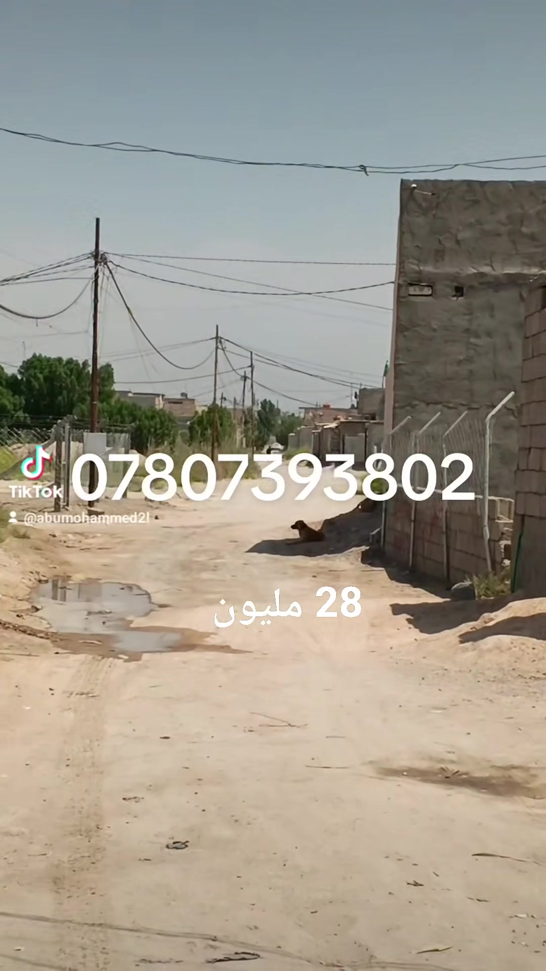 دار للبيع طابو زراعي سند 25 مساحه 120 متر سعره 28 مليون استقبال صاله مطبخ غرفه صحيات

