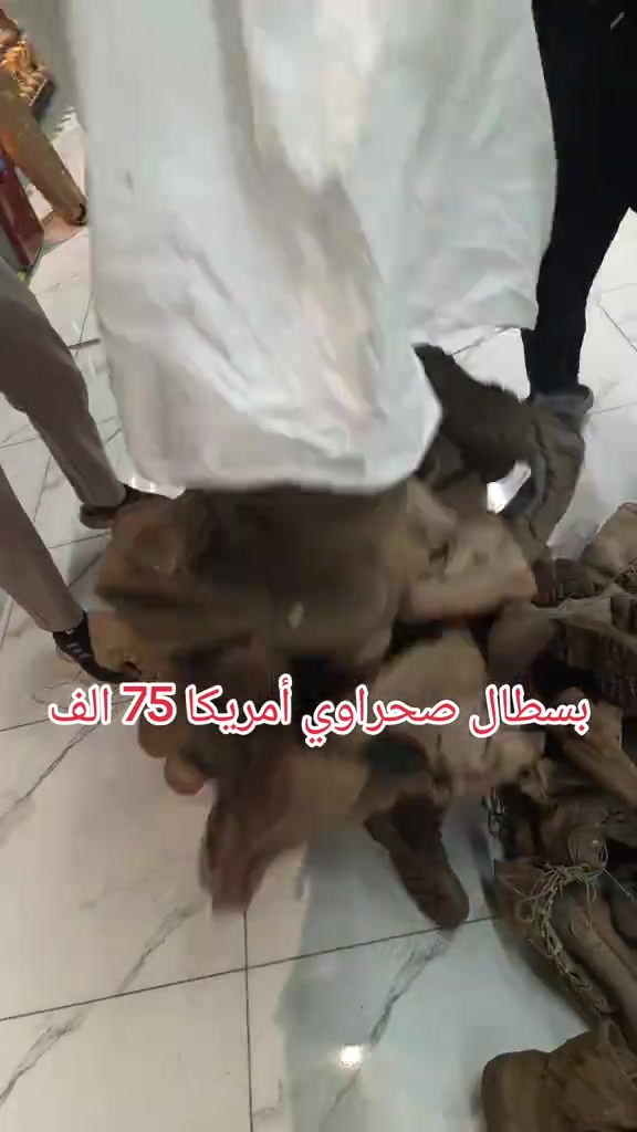 بسطال صحراوي • أمريكية أصلية • بغداد الحريه