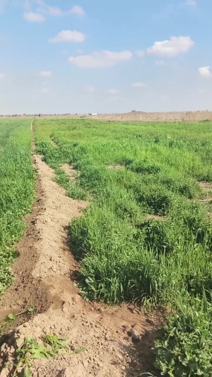 للبيع خمسة دونم  طابو زراعي سند 25 
مكانها قرية عطالله قريبة على الشارع العام ..
حصة ماء موجودة..... السعر مناسب 
باقي التفاصيل. ***********___***********
