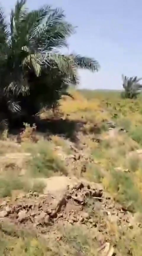 سلام عليكم عندي دوانم البيع بل مزبانيه عدد الدوانم 3 عقد 117 التصال عله رقم بي واساب وتصال ***********
