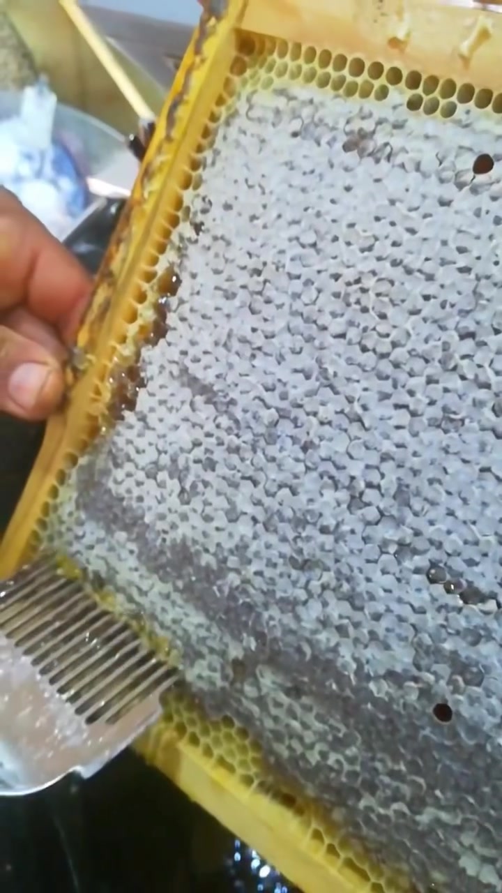بهذه الطريقة يتم استخراج وصناعة العسل الطبيعي في دهوك…

هذا النوع من انواع العسل طبيعي جدًا وحاصل على اربعة شهادات دولية من (تركيا ومصر ولبنان واربيل)، وهو الافضل على الاطلاق لان المكان الذي يتم في تربية النحل والخلايا موجودة في گلي قيامة في قرية بيبوزي وطريقة التربية طبيعية وخالية من السكر الطبيعي والبروتينات لهذا السبب راح اترك الكم ارقام صاحب المنحل بالاسفل وانتو وين ماتكونون توصلكم ومن ناحية السعر راح يساعدكم
*********** كورك
*********** اسيا
 
العنوان دهوك، ناحية اتروش، قرية بيبوزي
