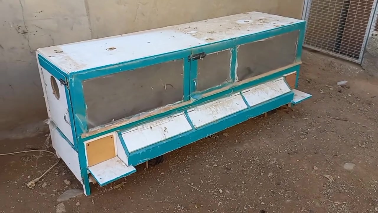 حاضنة فراخ • ١٨٠سم • ٧٠سم