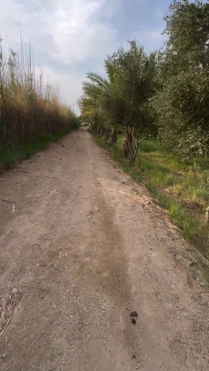 سند ٢٥ • ٢٤٠٠م • بيت ١٦٠م