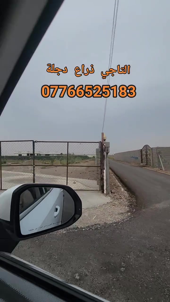 دونم • التاجي • ذراع دجلة
