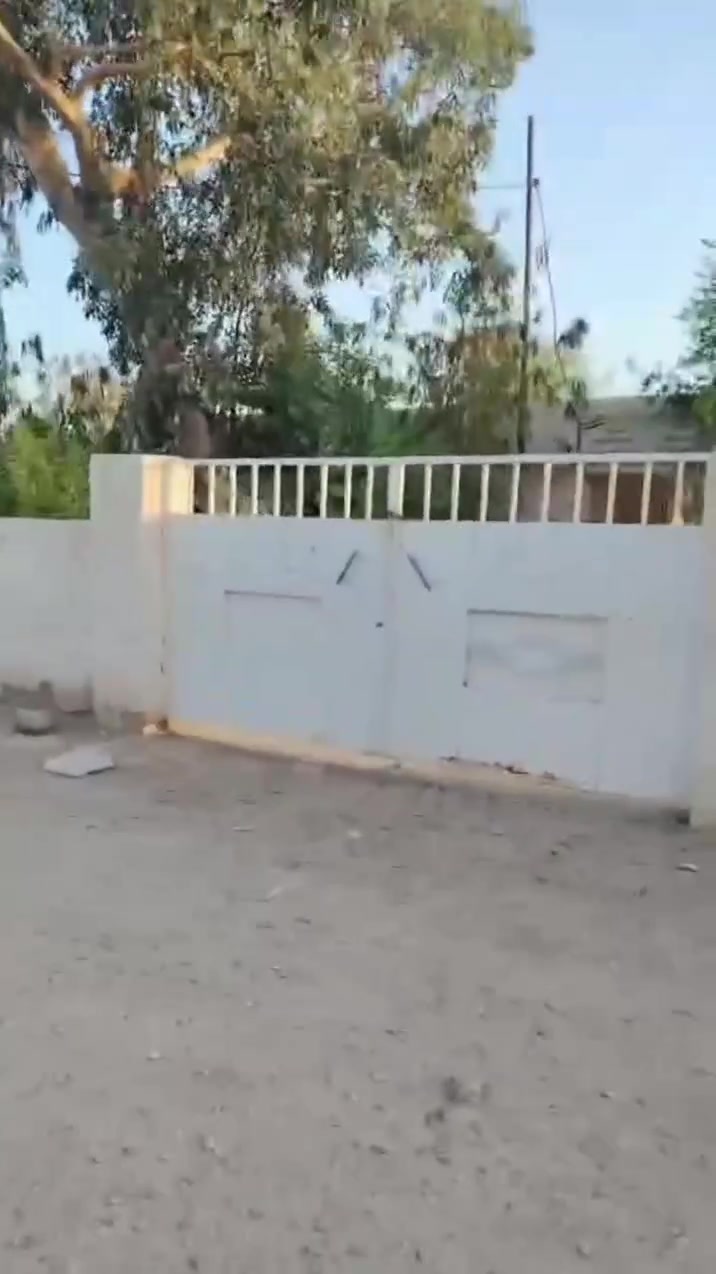 سوق الشيوخ فضليه • ٢٠٠م • زراعي