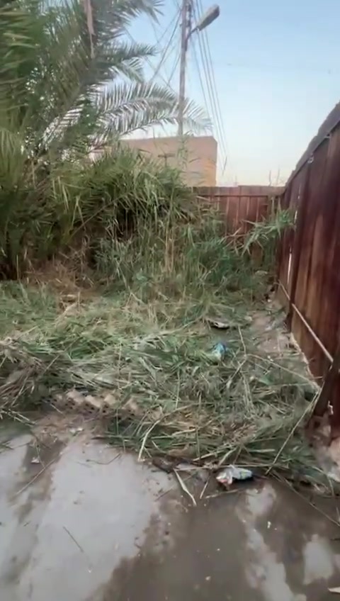 بيت للبيع في بغداد منطقه الرشاد زراعي واقع حال مساحه البيت تقريبا 200 متر كل الخدمات متوفره من ماء وكهرباء ومجاري وتبليط  ونت ضوئي متكون من صاله ومطبخ وغرفتين نوم وصحيات وكراج جبير جوه وكراج وحديقه بره كما موضح بلفديو وسعر البيت 70مليون وبي مجال للشراي ورقم الهاتف ***********
