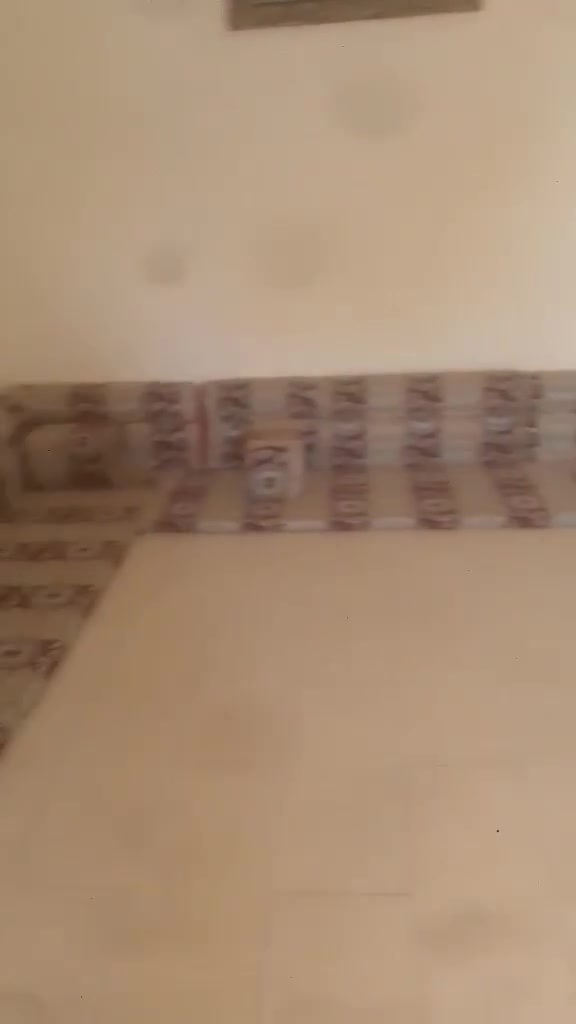 جلسه اصلية • ٧ في ٤ • البطحاء