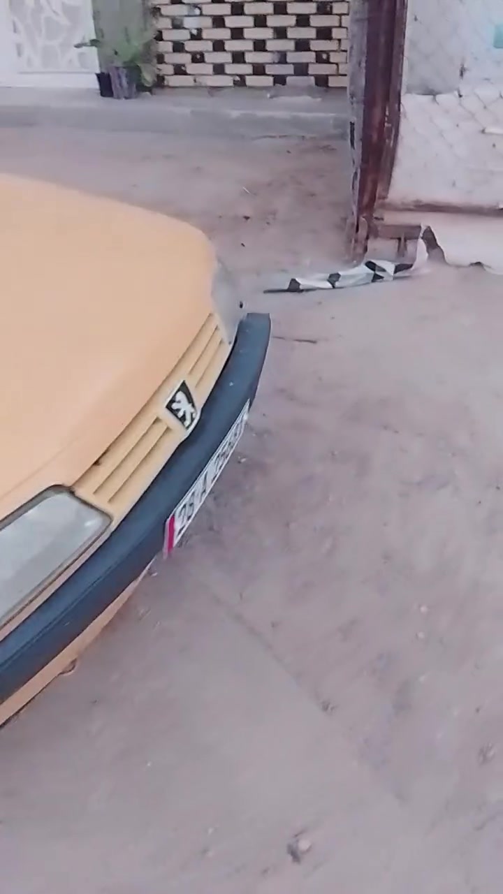 نكليزي • مكفولة مكينه وكير • نجف