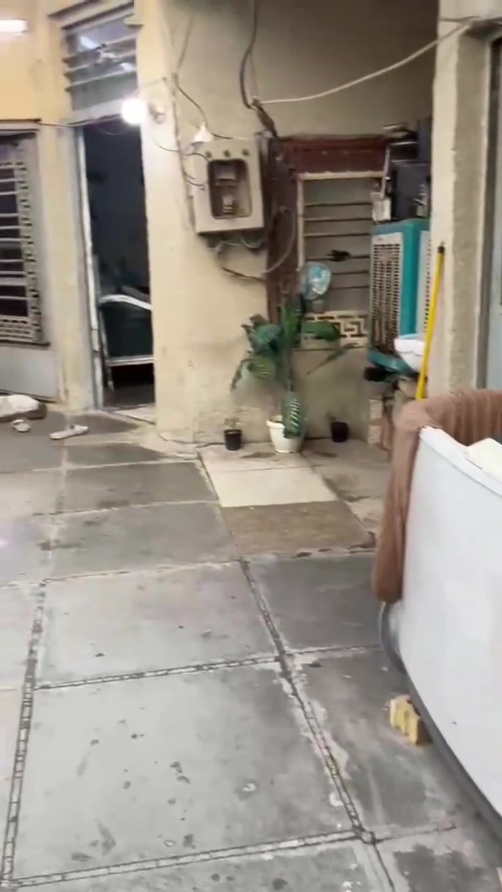 بيت تشجير للبيع او الإيجار في منطقة ابو دشير 
شارع جبارة قرب أسواق المعموري 
١٥٠م 
على التبليط 
يتكون من غرفتين وهول واستقبال 
وحمام ومطبخ 
وكراج يسع سيارة 
إضافة إلى بئر ماء

سقف البيت سندويج درجة أولى 

الإيجار ٢٥٠الف قفل 
البيع ١٩مليون وبي مجال 

للإستفسار واتساب ***********
