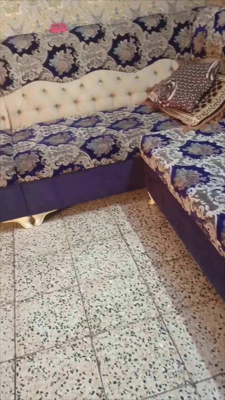 تخم درجه اولئ حطاطه مستخدم 9 اشهر