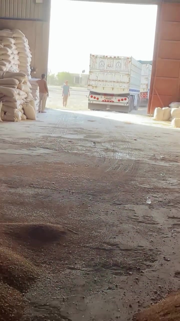 سلام عليكم 
يوجد الدينا حنطه بذور ادنه وعربيه وفيه 
وحنطه علفيه 
وشعير محلي بذور 
العنوان بابل ناحيه الشوملي 
***********
