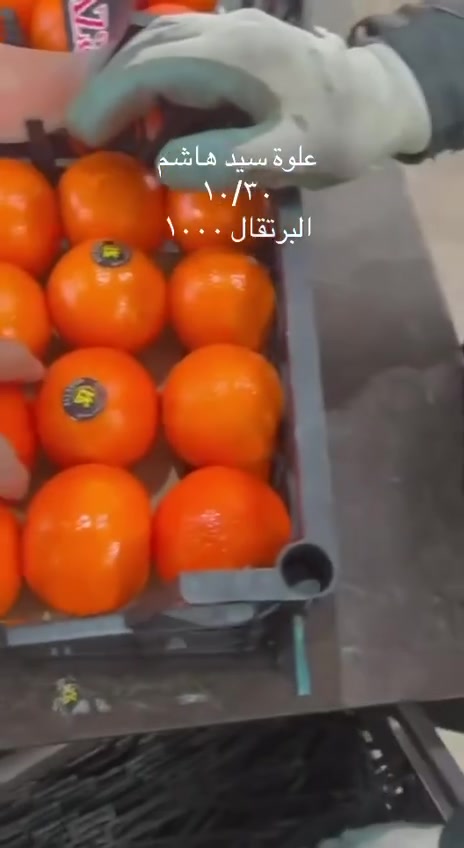 علوة سيد هاشم • خضرة وفواكه • تفاح