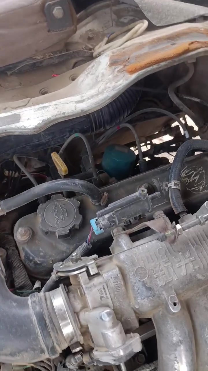 جنبي • ٢٠٠٩ • بابل