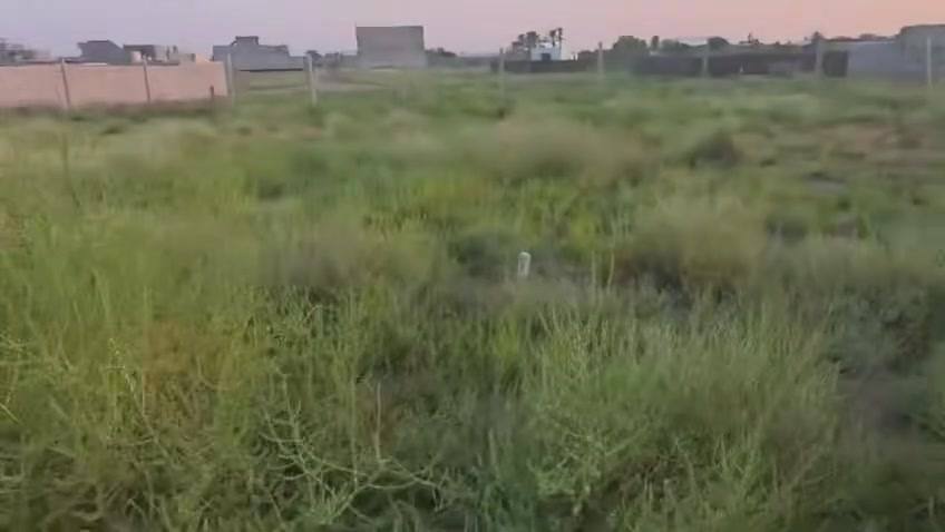 سلام عليكم 

يوجد لدينه قطع اراضي للبيع 

حي الازدهار الجمعيه الثالثه 

المساحه 150متر ثلاث قطع وحده مجاور الخ 

اسعار مناسبه جدا 

الاستفسار مراسله الصفحه او الاتصال 
***********
***********
***********
