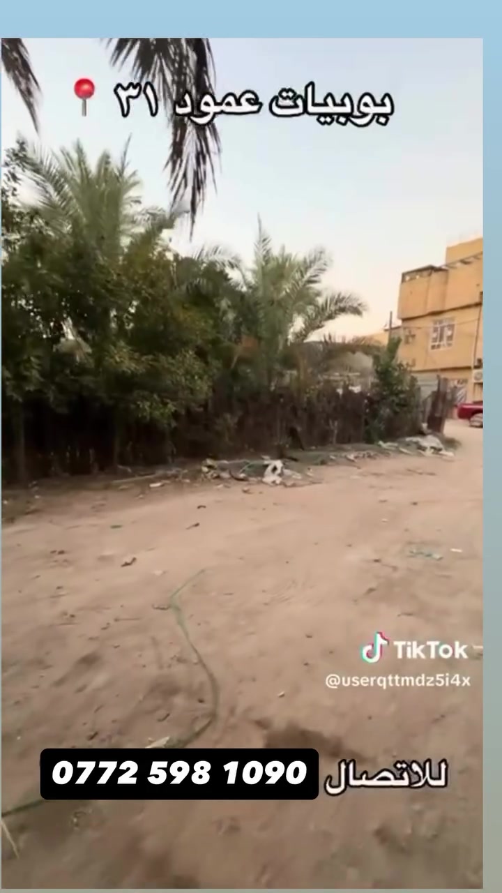 بوبيات عمود ٣١ • أرض