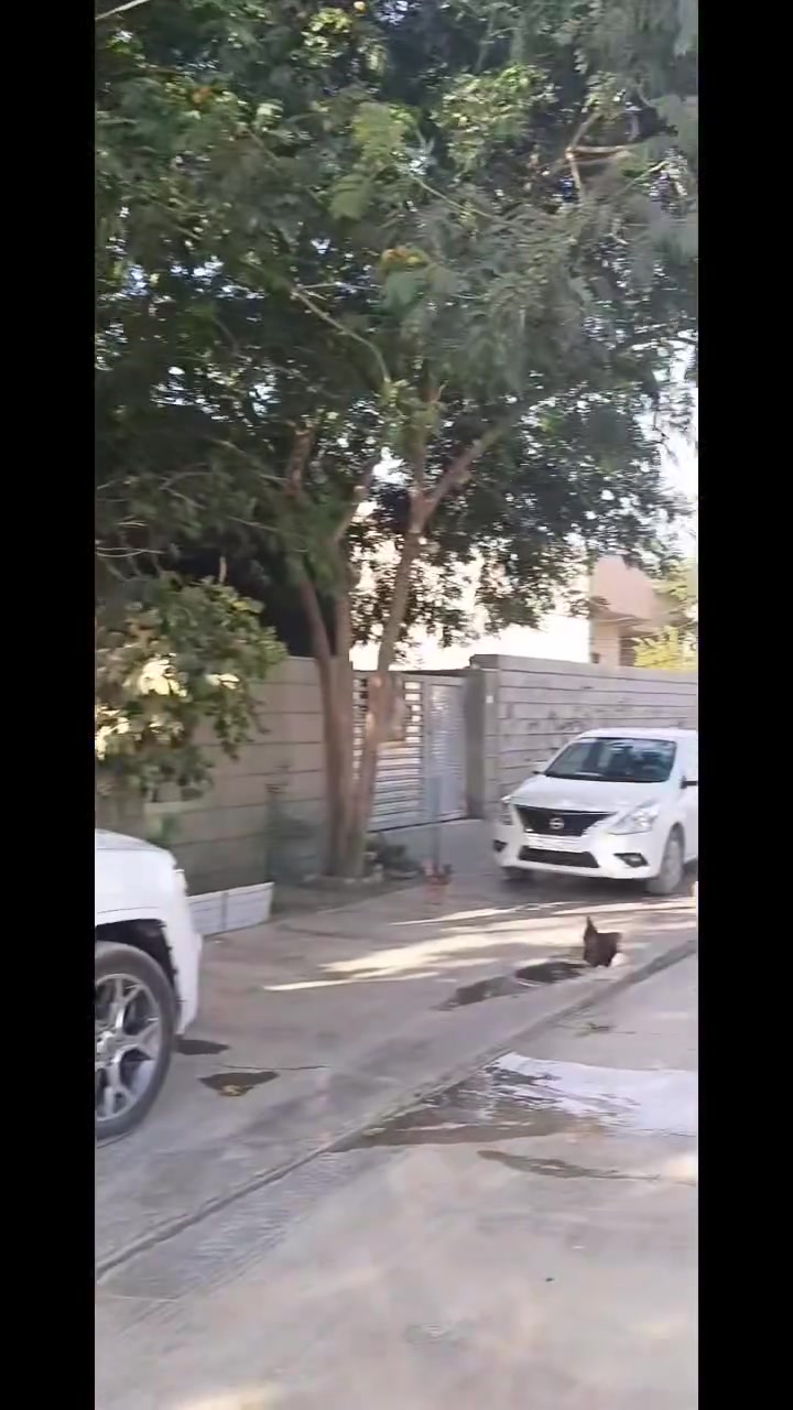 🏡 قطعة أرض للبيع – ركن وموقع مميز جدًا
📍 الموقع: خانقين – شارع الكورنيش
📌 مقابل الساحة والملعب الجديد

🔹 المساحة: 100 م²
🔹 الواجهة: 10 م
🔹 النزال: 10 م
🔹 القطعة: ركن
🔹 الخدمات: كهرباء ⚡ ماء 💧 مجاري 🚰 متكاملة

💰 السعر: 22 مليون دينار
✅ قابل للتفاوض

📞 للاستفسار والتواصل: ***********
