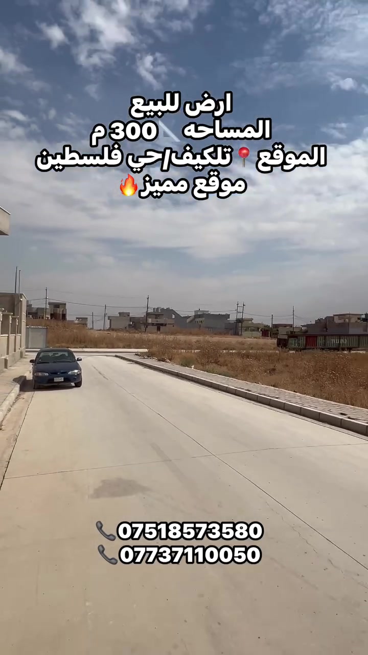 تلكيف • حي فلسطين • ٣٠٠م