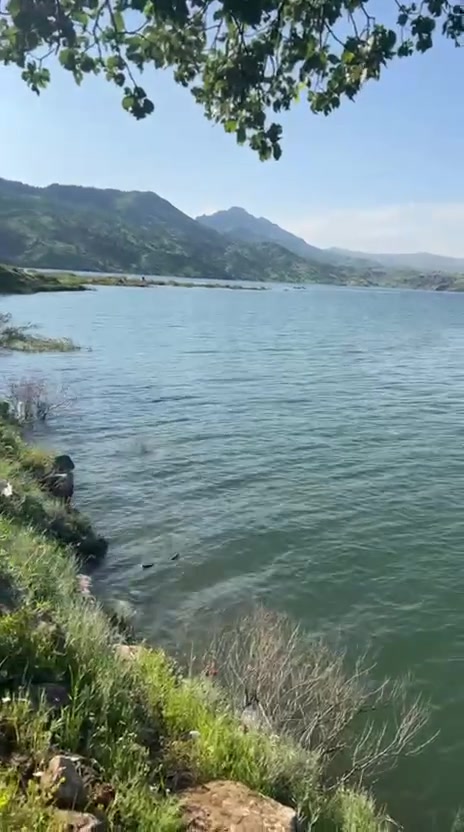 دوانم شاطئيه للبيع في منطقه الزعفرانيه سعر الدونم 190 مليون قابل  للتفاوض 
للستفسار *********** ابو علي
