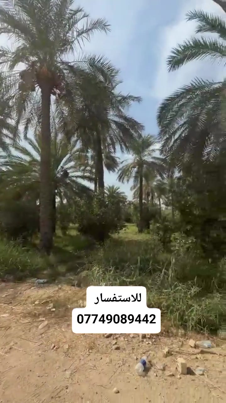 بالنزال • ٣٠ دونم • ماء وكهرباء