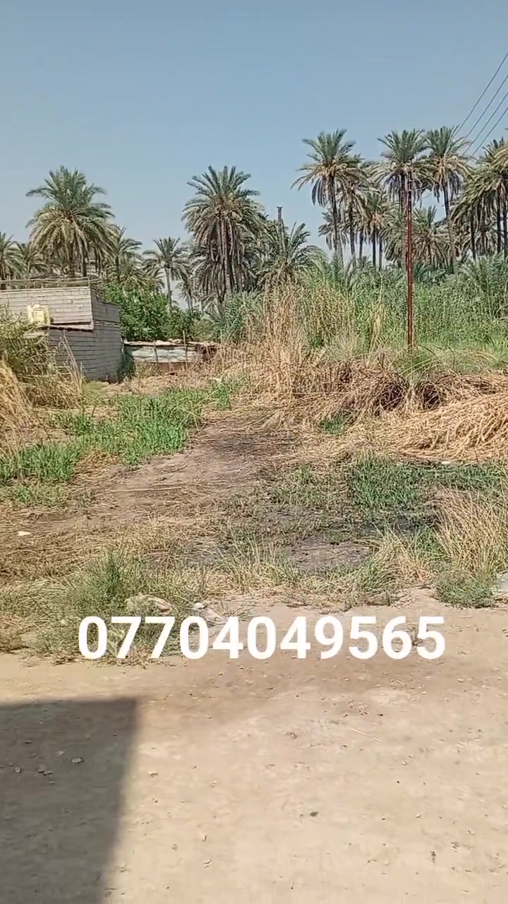 💥 قطعة أرض للبيع 
📍الموقع : بهرز ـ الشاني ـ توزيع اكرم هادي الحيدر 
📐 المساحة : 125م  الوجه 10م ( ركن ) 
🧾سند الملكية : زراعي قرار 25 

خدمات كاملة ( ماء ، مجاري ، كهرباء ، شارع سبيس )

للأستفسار : ***********
