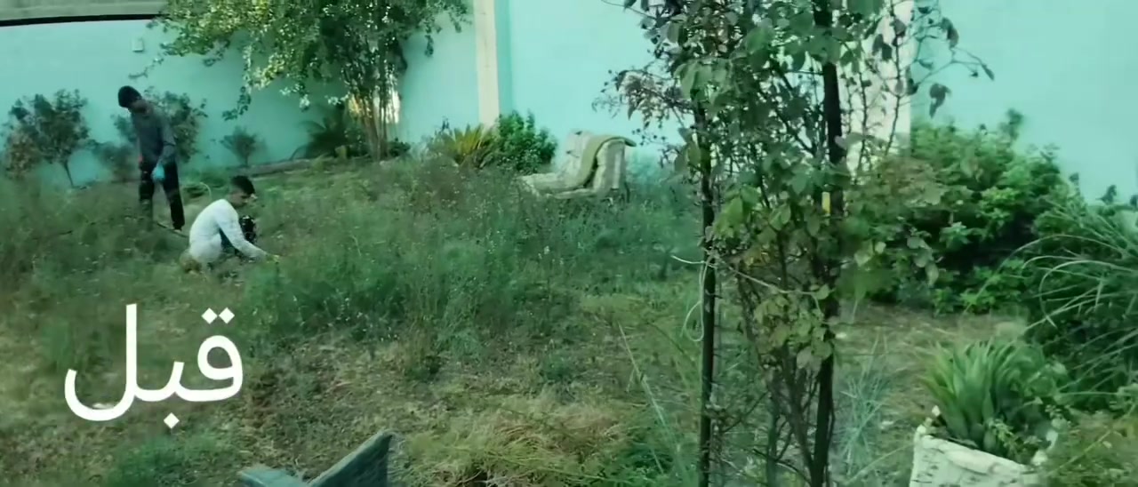 🌸 نعمل داخل بلد🫶
🌸زراعة الثيل 
🌸زراعة الاشجار 🌱🌲
🌸زراعة الورود وجميع نباتات
🌸قص الثيل وتحديدة  وترتيبها

العنوان قضاء بلد صلاح الدين ***********
