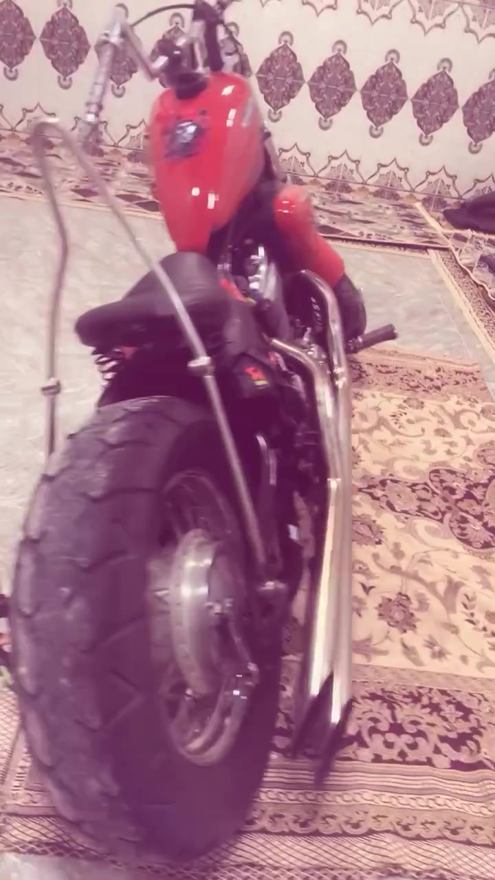 ببر • ٤٠٠ • كفاله