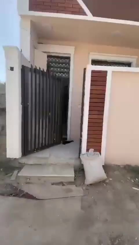 الدوره هورجب • ٧٠م • طابو زراعي