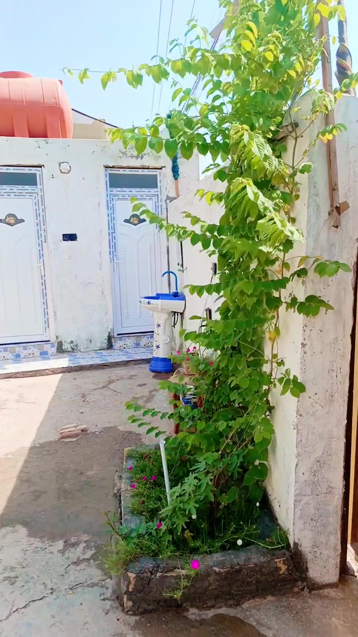 السلام عليكم بيت طابو زراعي سند ٢٥ال مراد قريب عل شارع سياسين مساحة ٢٠٠غرفتين وصالة وستقبال ومطبخ وكراج كبير سعر ٤٨بي مجال ***********
