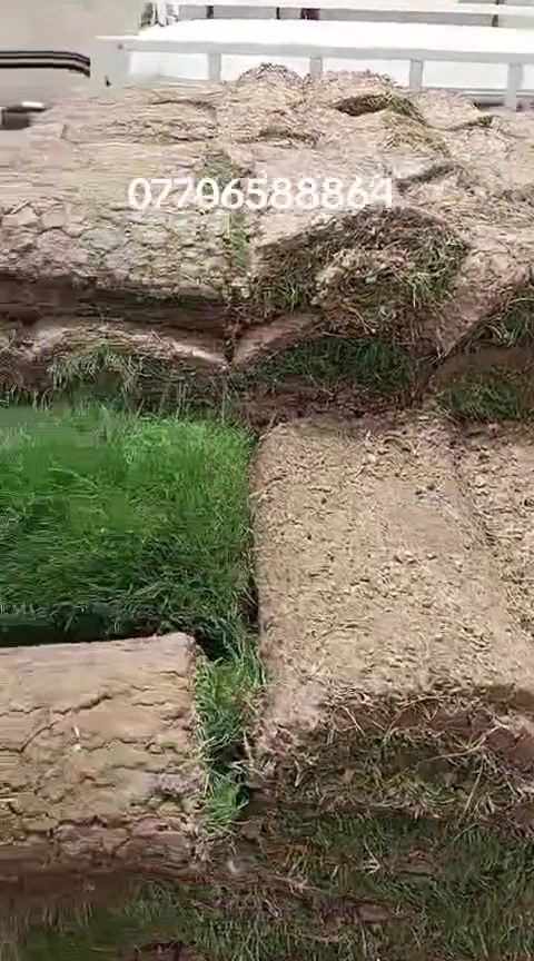 متابعينة الكرام //يتوفر جميع انواع الثيل من مزرعة  مشتل التاجي (ثيل هندي )(ثيل فرنسي )(ثيل ايطالي) بسعار مناسبه يوصلك الباب البيت مباشر من المزرعه فريش وريان للحجز والاستفسار
*********** يتوفر واتساب
*********** يتوفر واتساب
متابعينة الكرام //يتوفر جميع انواع الثيل من مزرعة  مشتل التاجي (ثيل هندي )(ثيل فرنسي )(ثيل ايطالي) بسعار مناسبه يوصلك الباب البيت مباشر من المزرعه فريش وريان للحجز والاستفسار
