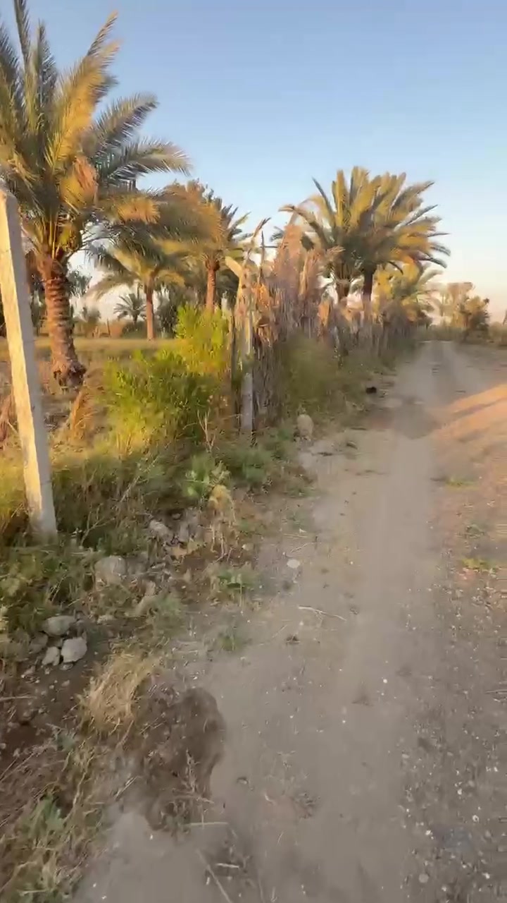 تفاصيل كامله داخل الفديو 
***********
