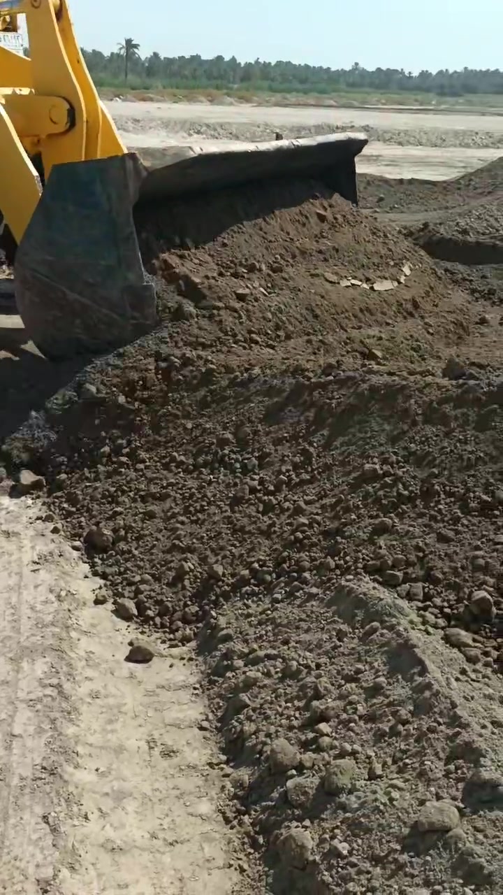 لا توجد تفاصيل
