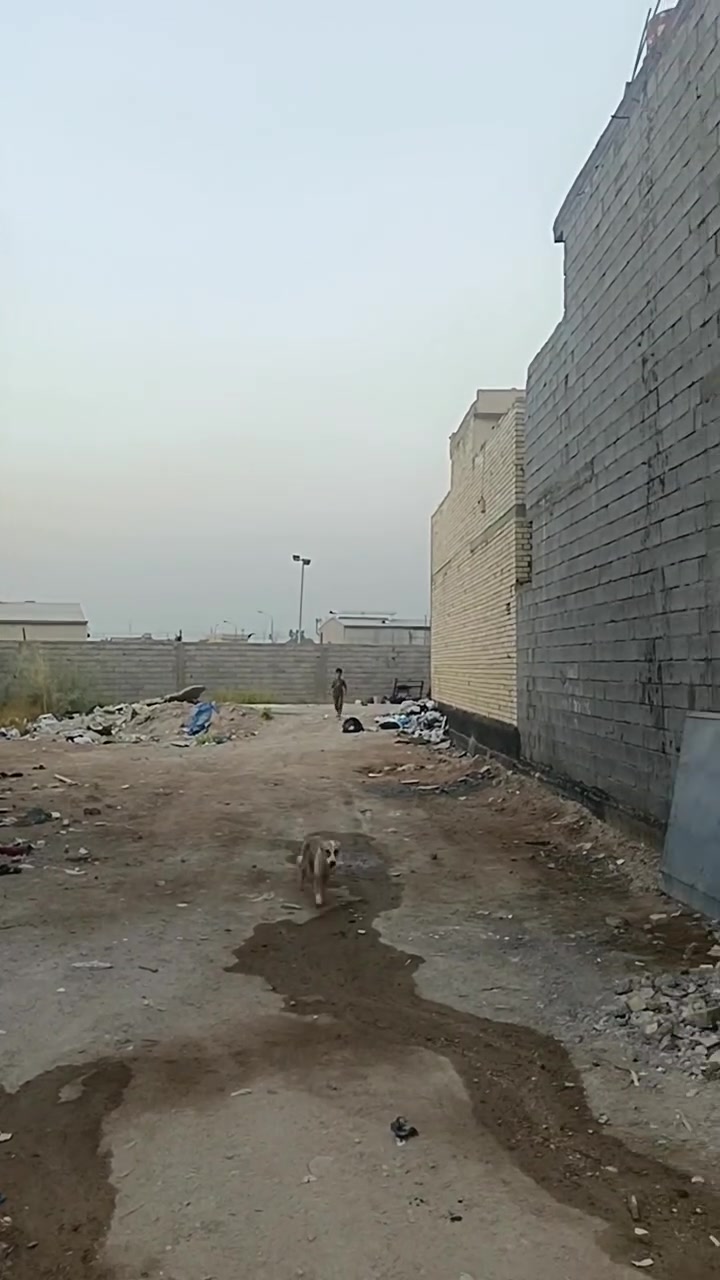 بيت للبيع المساحة ٥٠ متر طابقين يبعد عن الشارع العام ٢٠٠ متر وعن مركز المدينه ٦كيلو البيت جديد مجاري مي كهرباء تبليط السعر ٦٠ مليون اوبيهه مجال للاستفسار الاتصال أو المراسلة ***********
