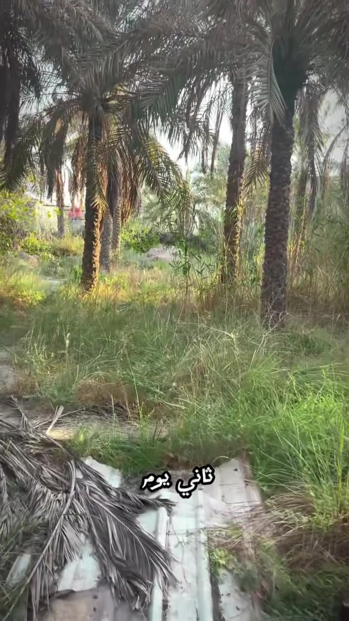 🌴✨ فرصة استثمارية نادرة في أبو الخصيب – حمدان البز ✨🌴

🏡 بستان مميز جداً للبيع
📍 الموقع: حمدان البز – أبو الخصيب، مقابل جامع فاطمة

📐 المساحة: دونم كامل
📏 الواجهة: 40 متر
📜💎 طابو ملك صرف 💎📜

🌴 يحتوي البستان على أكثر من 70 نخلة، منها 5 نخلات برحي، بالإضافة إلى مشتملات عدد 2.

🌿 موقع هادئ ومرتب جداً
🛣️ شارع هادئ
🚫🏘️ لا يوجد جيران مقابلين

🏖️ البستان مناسب جداً ليكون شاليه خاص راقٍ بعد الترتيب والتأهيل، كما يُعتبر فرصة استثمارية مميزة لمن يبحث عن عقار بمواصفات نادرة.

💎 دونم كامل + واجهة 40 متر + أكثر من 70 نخلة + مشتملات عدد 2 + موقع هادئ + خصوصية + طابو ملك صرف.

🔥 بستان بهذه المواصفات وبطابو ملك صرف يُعد فرصة مميزة ونادرة.

📞 للاستفسار والمعاينة:
***********
