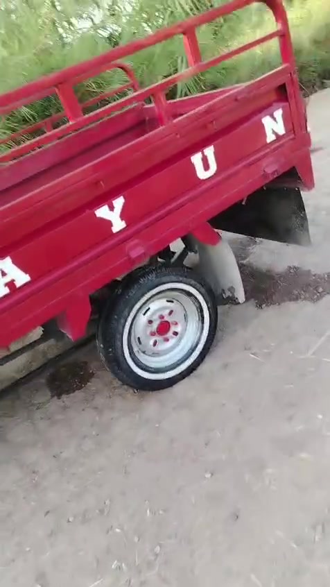 ستوته • موديل ١٤ • اوراق مكفوله