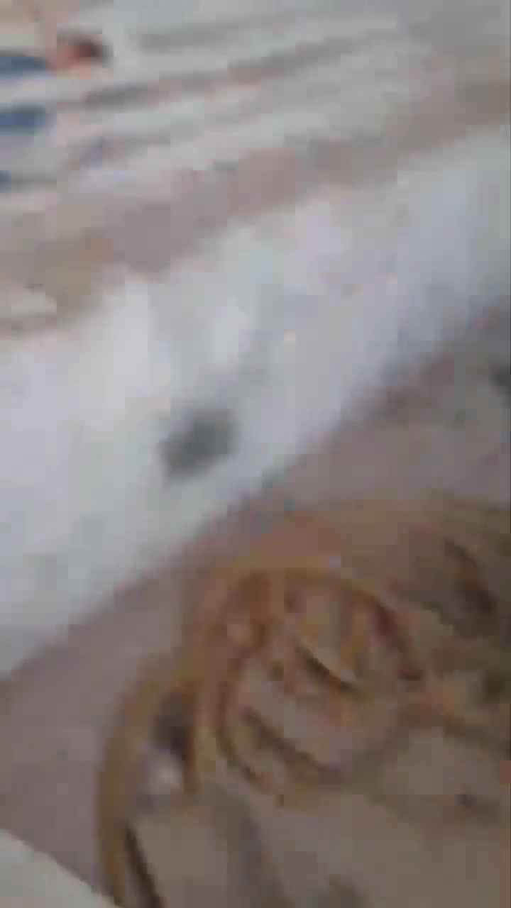 مكتب ابو محمد الظالمي للعقارات بالقشله

بيت بلجربوعيه الاولى اربعه غرف ٢جوه و ٢فوك مابيهن شي الهول والمطبخ والبراني سقفهن تعبان البيت بي ورثه للبيع  السعر ٧٠ مليون باقي التفاصيل داخل الفيديو الاتصال على الرقم *********** ابو محمد الظالمي للعقارات بالقشله مقابيل كهاوي النركيله بصف حسن المصور ***********
