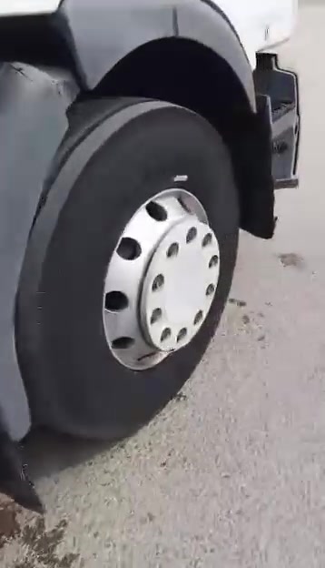 رينو • ٢٠٠٣ • استمارة ٢٠٢٨