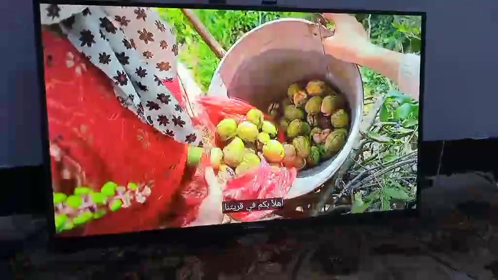 السلام عليكم لدينا شاشه للبيع ايلجي اوليد حجم 32 شاشه جديده استخدامها أقل من شهر ومعاها هذا جهاز مكيوبور فور كي مربوط مع شاشه وانترنت فول وهذا جهاز وياها انترنت فول  وشاشه بدون اطار وسعرها وقفلها قفلها 85 وهاي فيديوهات شغلها على اليوتيوب وعلماً يشتغل ع نظام التيك توك 
وع خاص ما نجاوب فقط ع واتساب واتصال ع ارقام 
***********
***********
ورقم كورك بيه واتساب
