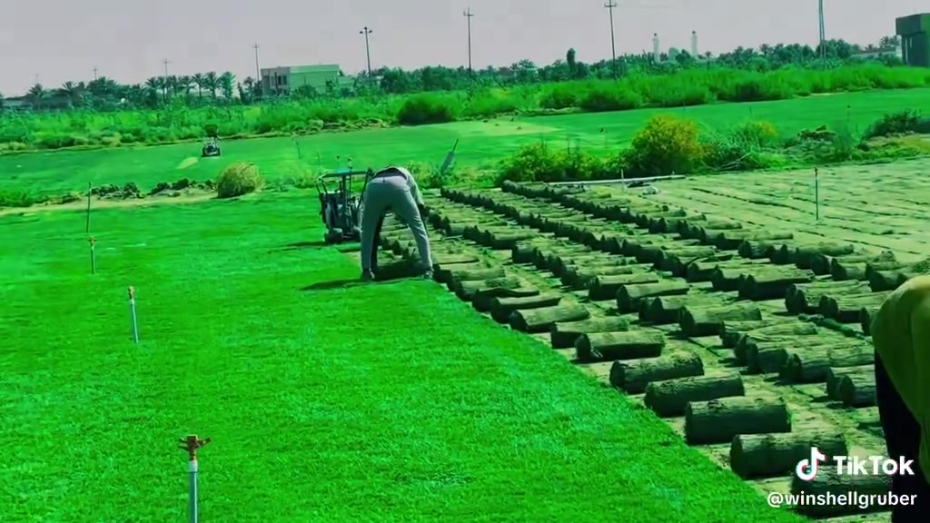 مزارع  الشمال للثيل الطبيعي 🍀
متوفر كافة انواع الثيل 🍀
( امريكي - الهندي - الايطالي - الفرنسي )
لتجهيز... مشاتل🌴
والدوائر حكوميه🏦
منازل🏡 
منتزهات🏄
موجود خدمة توصيل 🚕
لكل محافظات العراق 🚕
للطلب يرجى التواصل مع الصفحة او مراسلة واتساب او الاتصال على :
***********
