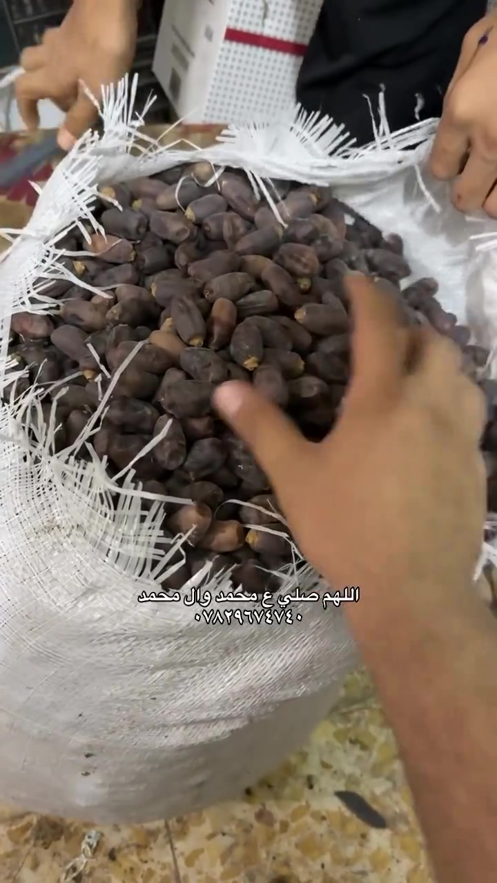 تمور • اسود علاجي • السماوة