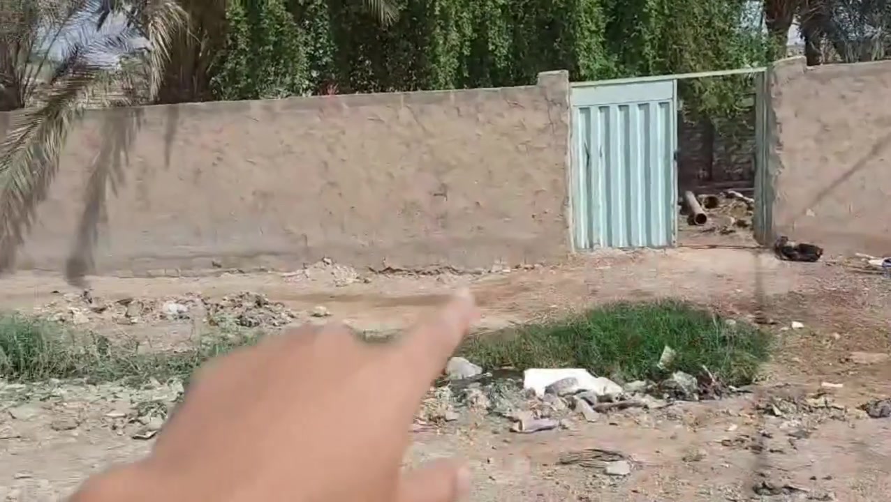 عرسة للبيع • صوب الخسف • فيديو