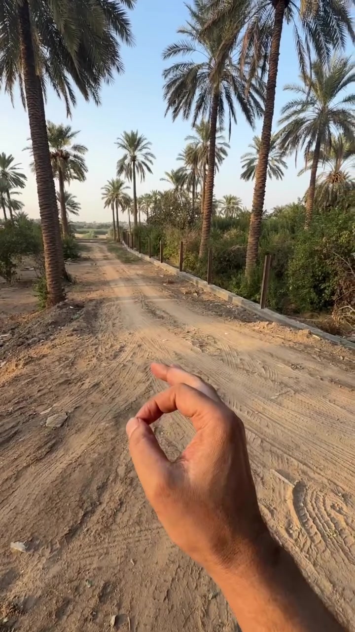 دونم ونص • سند ٢٥ • الوجه ٢٠م