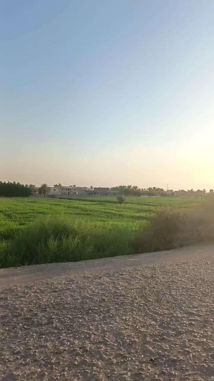 سلام عليكم توجد ضمانه ماش نضيف مكان واسط زبيديه منطقه رجبيبه بيهن 15دونم عل شارع تصل عل رقم ***********

