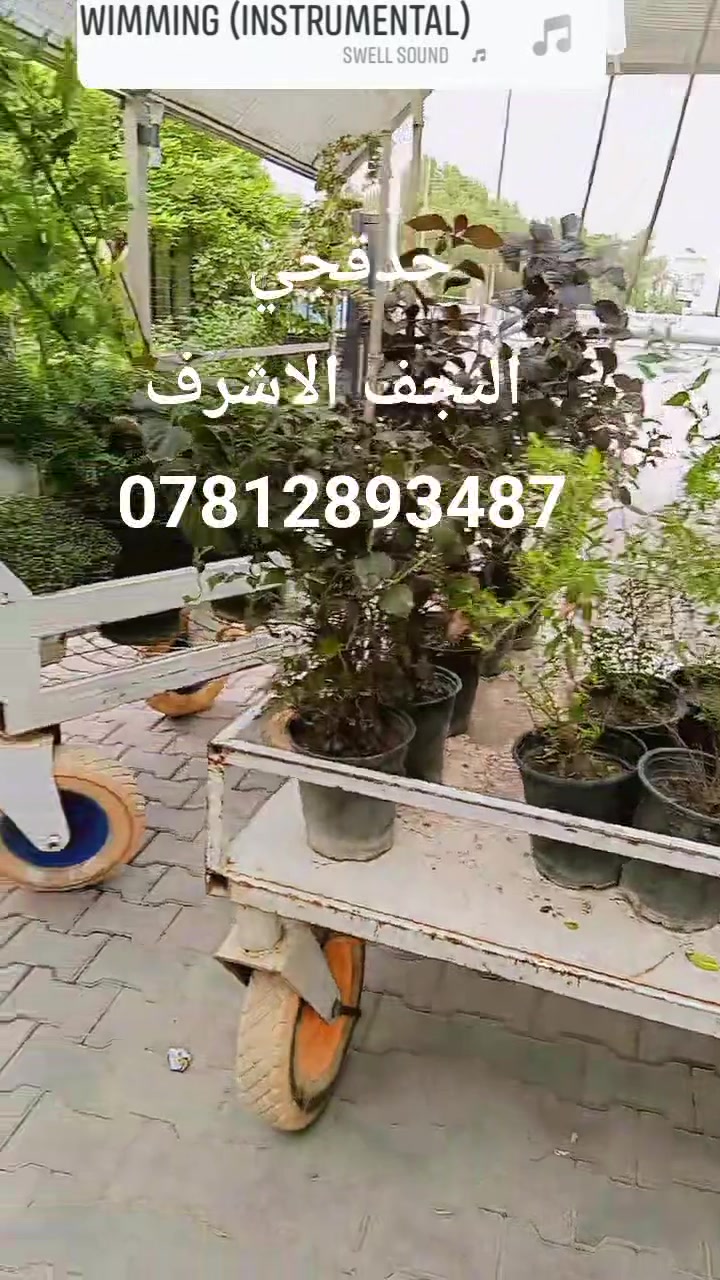 النجف الاشرف • خدمات حدائق • تنظيف حدائق