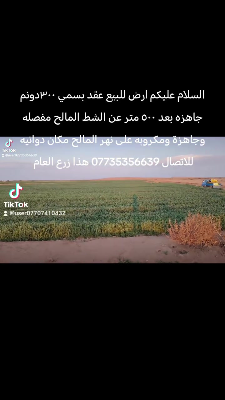 دوانيه • ٣٠٠دونم • ٥٠٠م عن الشط