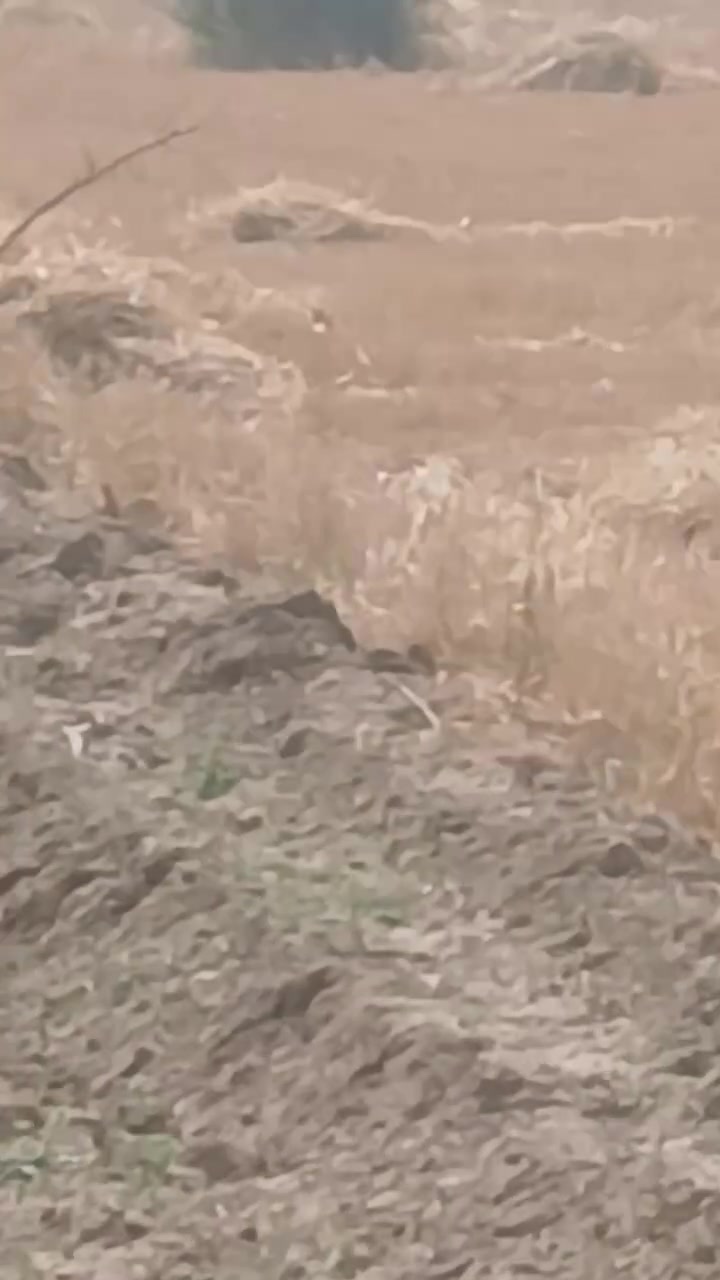 السلام عليكم ورحمت الله وبركاته.  ارض زراعيه طابو 9 دونم فتح بيان مباشر  سند مجدد 26  ارض درجه اولى الصويره شارع الزوار تبعد عن الشط ٣٠ متر.  وعن الشارع ٤٠ متر.   سعر الدونم 13. مليون وبيه مجال حسب التفاوض فرصه استثماريه تصلح الى مشروع استثماري او سكني  واجهه الرض 150 متر مربع للستفسار التصال ***********
