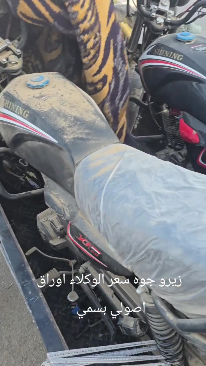 شاينننق • زيرو • اوراق اصولي