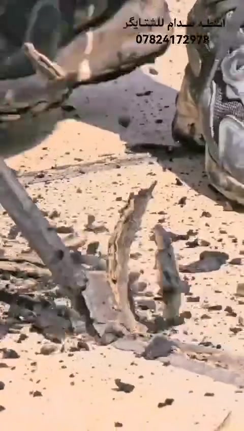 تطبيك شتايكر صطوح قلع ماستك قديم اضافه ماده جديد معا الكوي اصطح بل كامل وتسديد مسامات
***********🤳 متواجد وتساب وفيس
