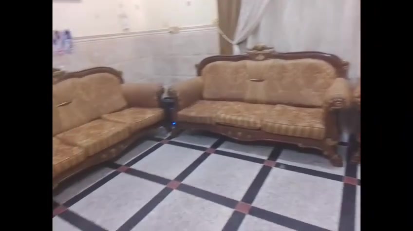 تخم • نضيف • فيهم مجال