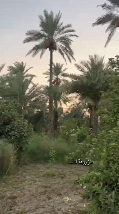 للاستفسار والتواصل
***********
